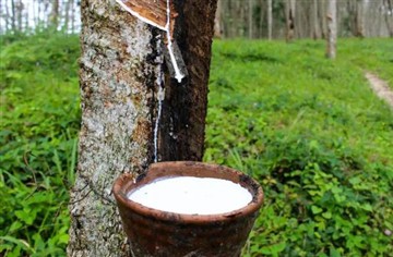 In che modo la prevenzione e il controllo dell'epidemia in Cina entreranno in...